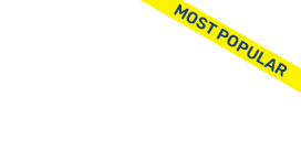 Most popular icon - Most popular auto inspection service